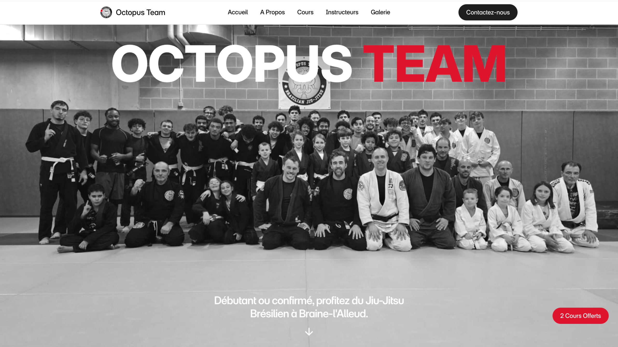 Octopus BJJ